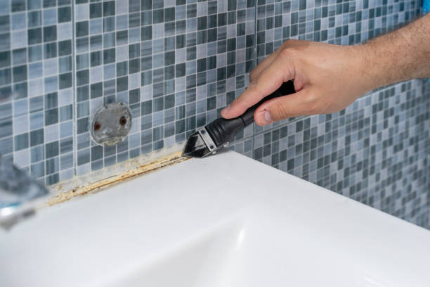 Best Black Mold Remediation in Hoyt Lakes, MN
